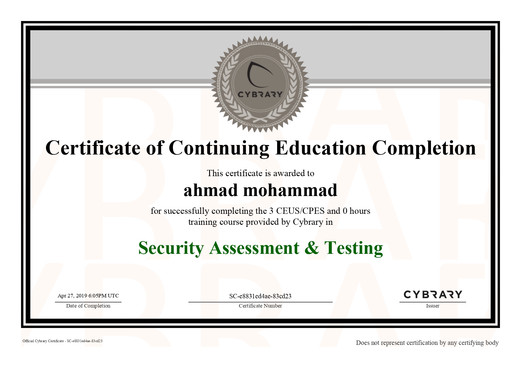 Security Assessment & Testing